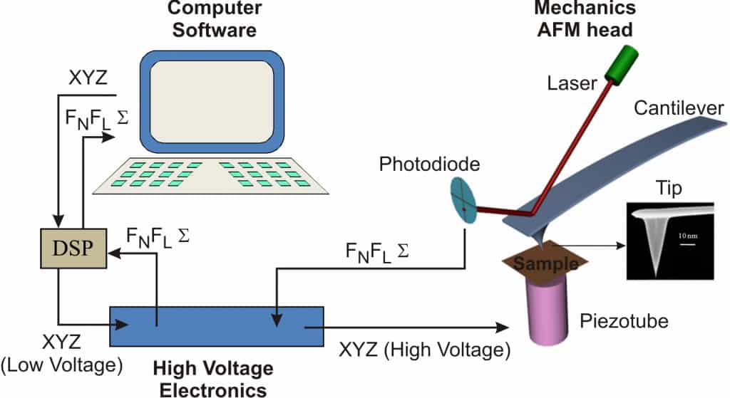 Atomic Force Microscopy Fernando Moreno Herrero Lab