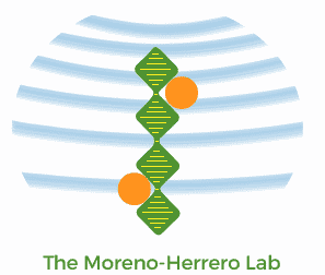 Fernando Moreno Herrero Lab